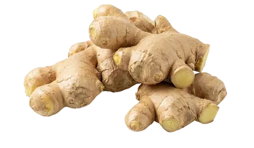 Zencefil