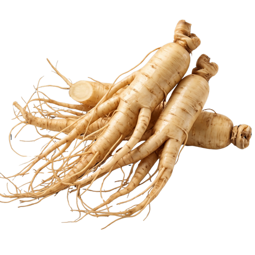 Ginseng