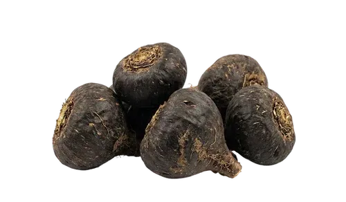 Maca